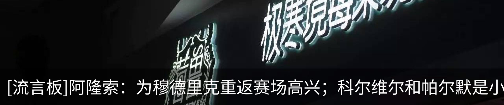 最新动态